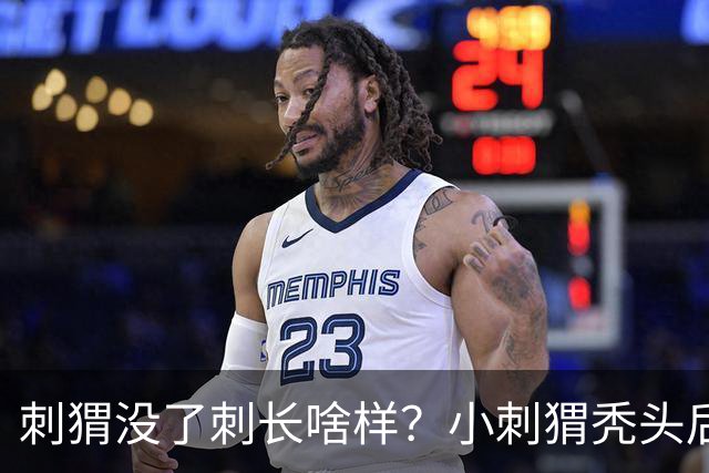刺猬没了刺长啥样？小刺猬秃头后意外走红，网友：好像大土豆