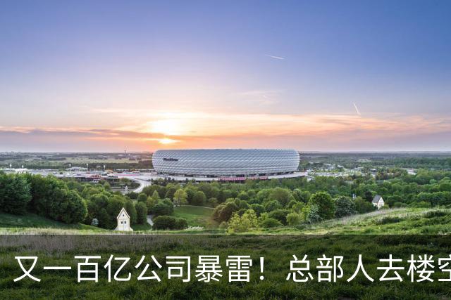 又一百亿公司暴雷！总部人去楼空，创始人失联被立案，谁来兜底？