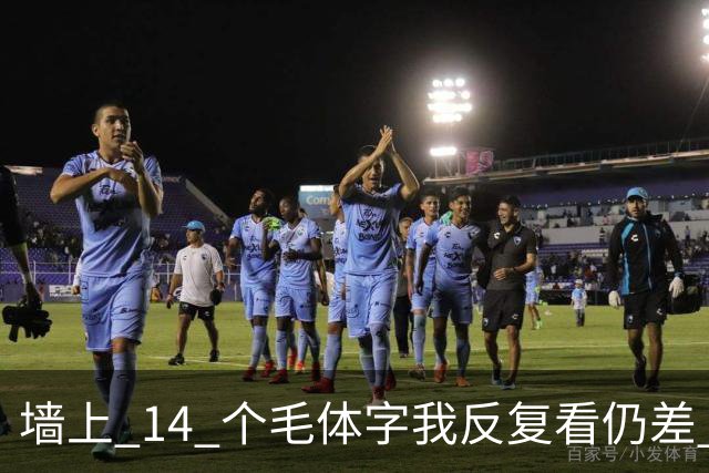 墙上 14 个毛体字我反复看仍差 3 个，能一个不差补齐的，才是真识货。字越写越大时，气势和字形究竟哪个更要紧？