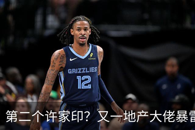 第二个许家印？又一地产大佬暴雷，涉案超200亿，现已被立案调查
