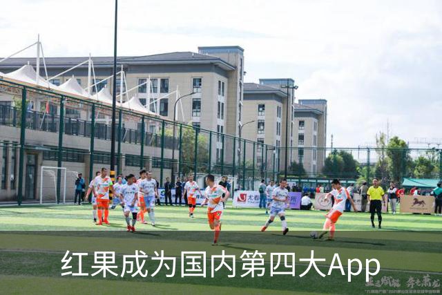 红果成为国内第四大App