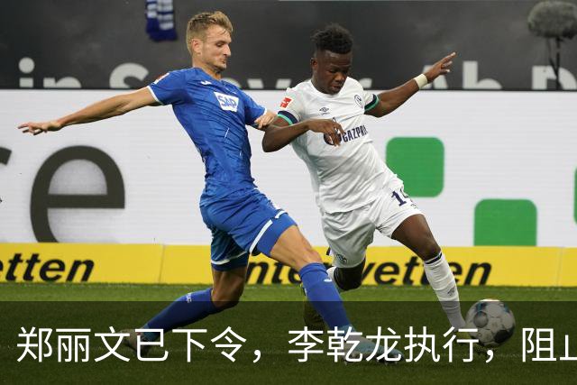 郑丽文已下令，李乾龙执行，阻止连署开除赵少康，蓝营避免大内斗