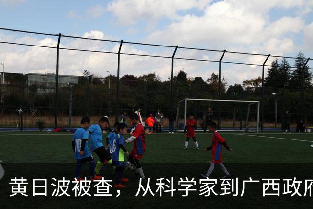 黄日波被查，从科学家到广西政府和政协副主席，横跨政企学研四界